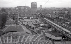 Lime Grove