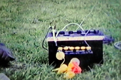 Fairoaks-8