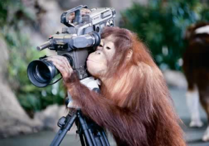 monkey_camera