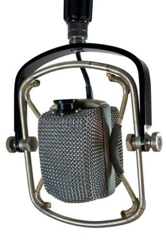 A close-up of a microphone

Description automatically generated with low confidence